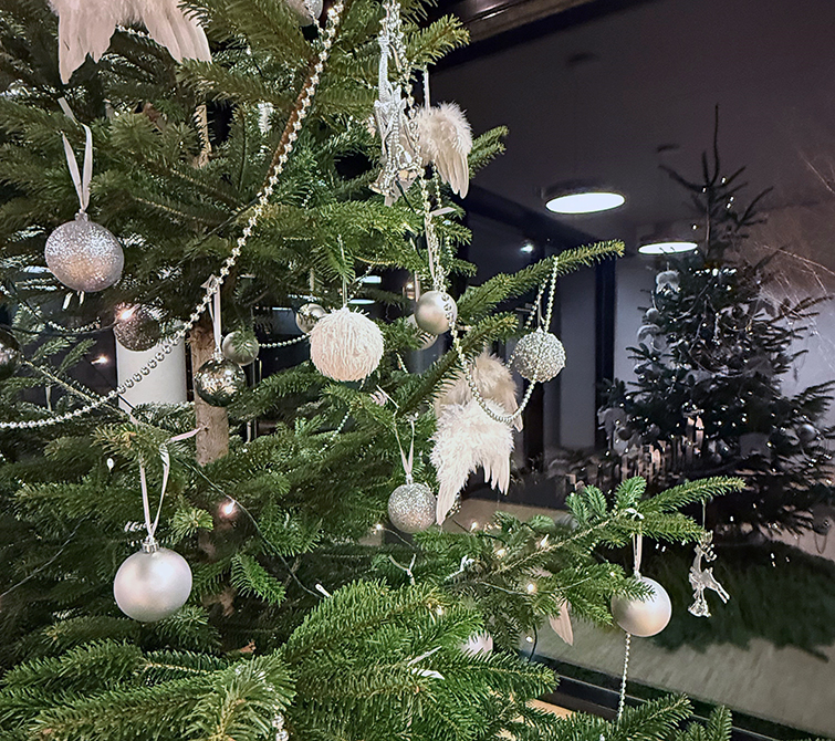 Bild zum Newsbeitrag